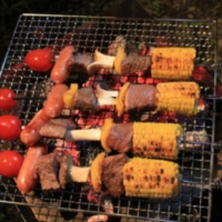 気ままにアウトドア!BBQブロシェット